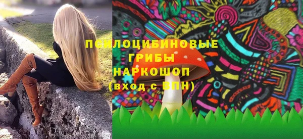 СК Богородицк