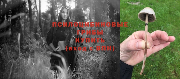 a pvp Богородск