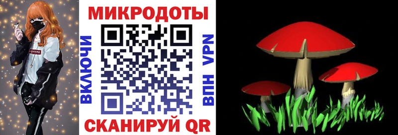 даркнет официальный сайт  Кузнецк  Псилоцибиновые грибы GOLDEN TEACHER 