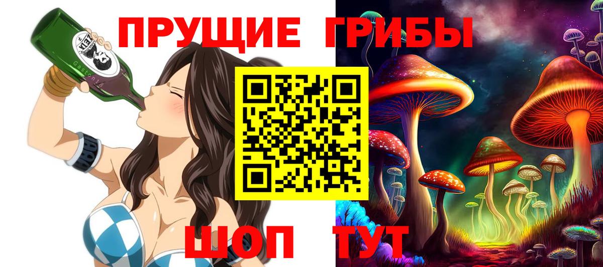 Псилоцибиновые грибы прущие грибы  Псилоцибиновые грибы прущие грибы  Вход с VPN  наркота  Кузнецк 