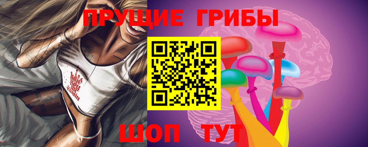 Псилоцибиновые грибы прущие грибы Кузнецк