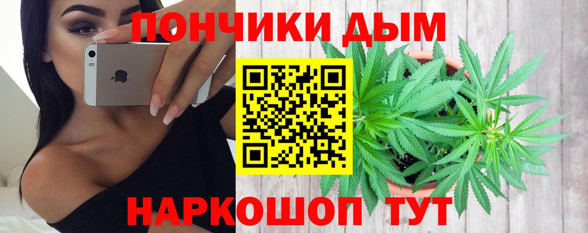 Марихуана Bruce Banner  МАРИХУАНА планчик  Кузнецк  Каннабис OG Kush  Вход с VPN  Канабис гибрид 